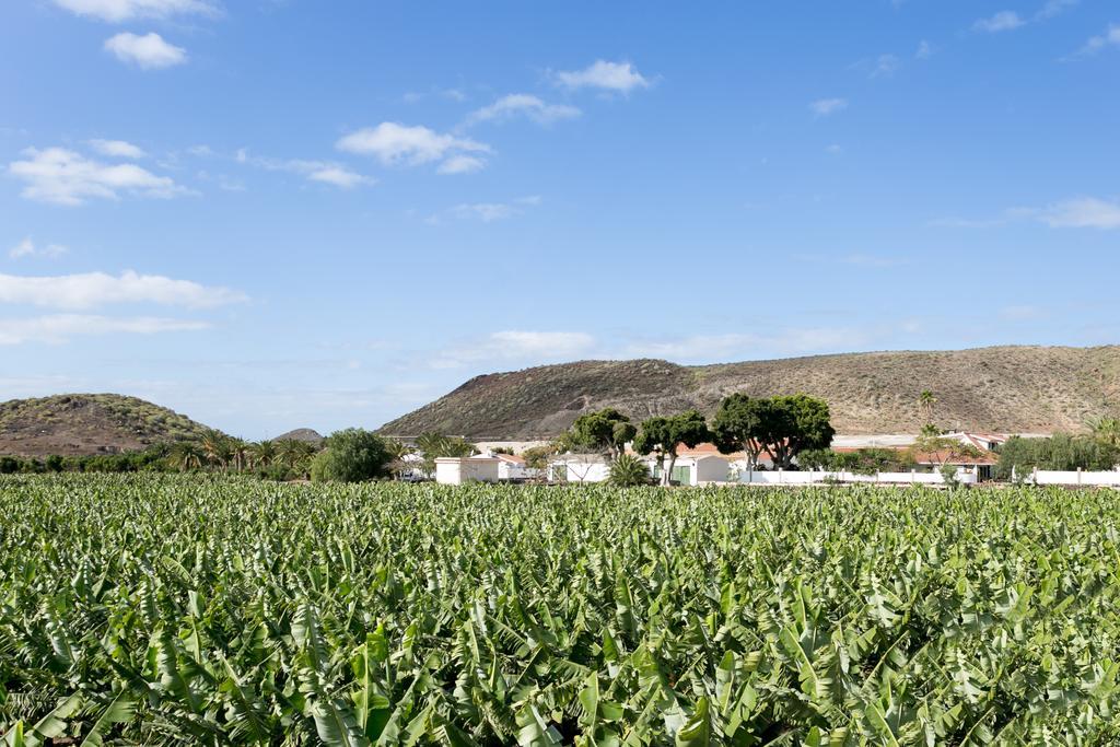 Caserio De Guaza Palm-mar Exterior photo